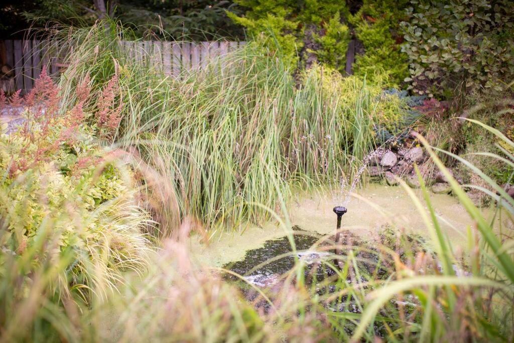 Vila Calm Scottish Country Escape With Hot Tub Sleeps 6 Inverness Exteriér fotografie